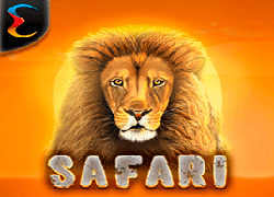 Safari