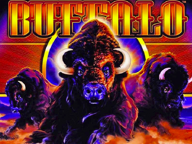 Buffalo