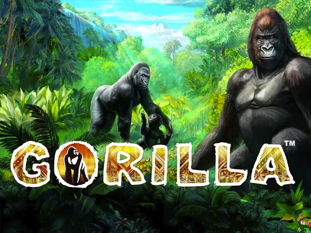 Gorilla