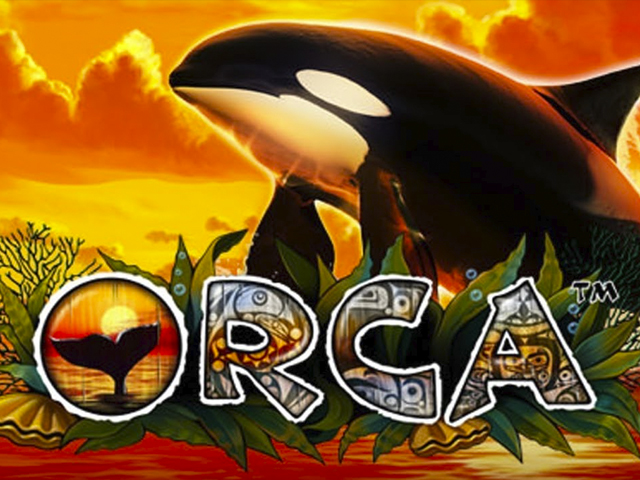 Orca