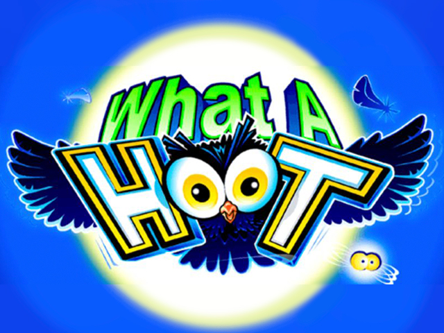 What A Hoot